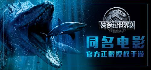 QQ图片20180620150437.jpg